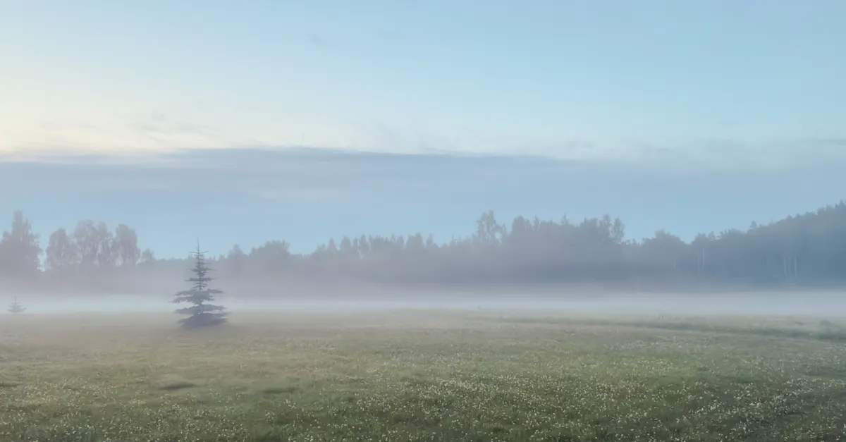 Юрмала запускает муниципальный туман, чтобы повысить престиж и запутать бюджетных туристов