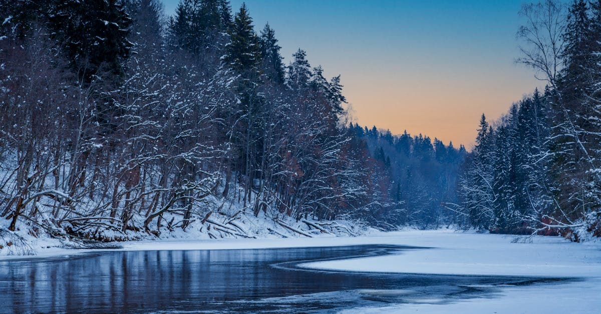 Латвия отпразднует безболезненную зиму с новым праздником 'День жалоб за орешки'
