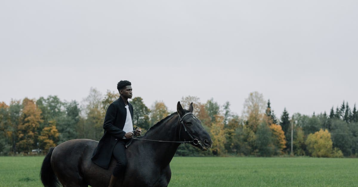 Латвийские фермеры избрали лошадь новым министром сельского хозяйства после впечатляющего обещания «оседлать» политику