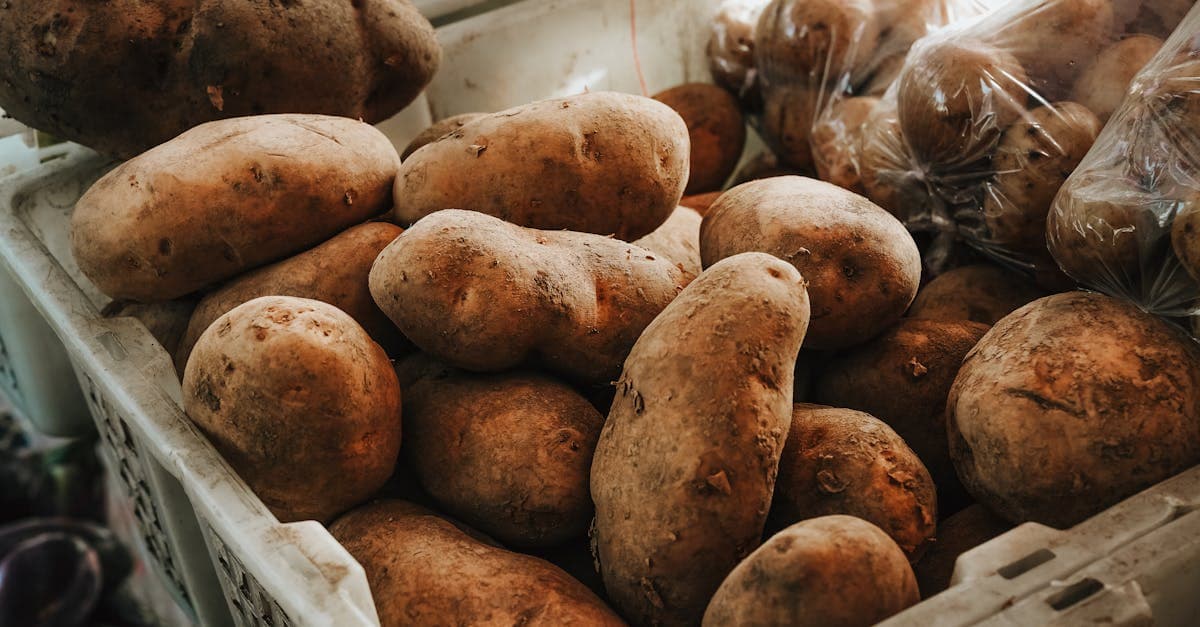 Местная картошка обрела сознание, немедленно подала жалобу на стереотипы о латвийской кухне