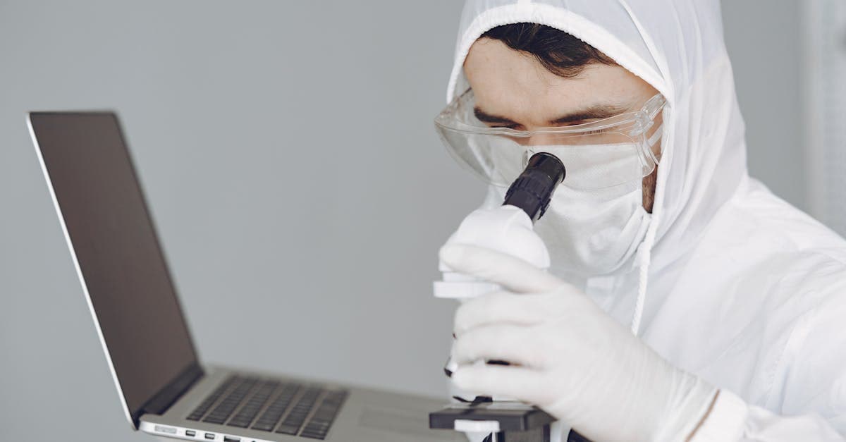 Латвийские ученые успешно обучили чаек доставлять свежую выпечку в Юрмале