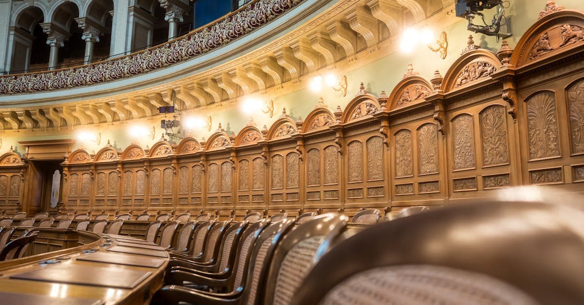 Riga Declares 'Official National Nap Time' After Complaints from Sleep-Deprived Seagulls