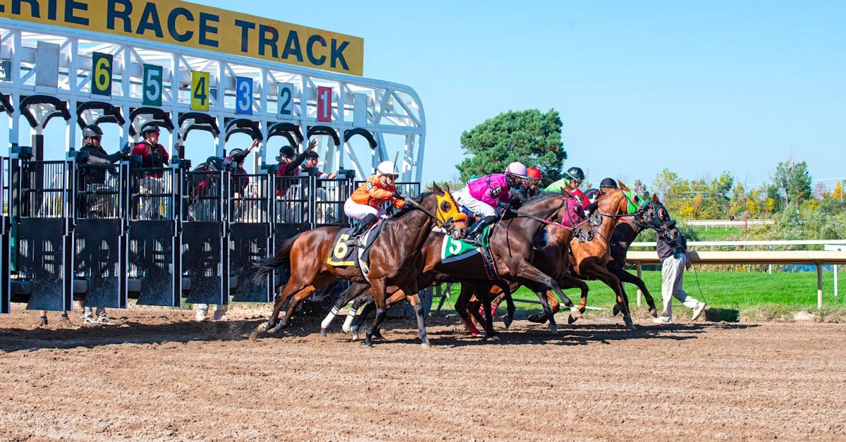Жители Риги начинают официальную петицию за создание 'Национального месяца тихого созерцания моря'